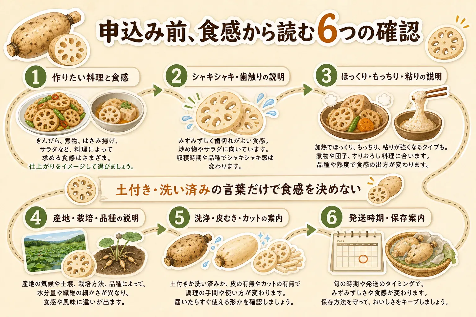 れんこんを申し込む前に、作りたい料理と食感、シャキシャキ・歯触りの説明、ほっくり・もっちり・粘りの説明、産地・栽培・品種の説明、洗浄・皮むき・カットの案内、発送時期・保存案内の6項目を順に確認し、土付き・洗い済みの言葉だけで食感を決めないことを示す図。記事本文の申込み前チェックをもとに作成。